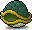 Tortie Shell