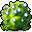 Blue Anthurium