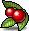 Coca Fruit