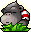 Bonkey