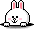 Peek-a-Boo CONY