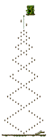 Hidden Street: The Forest of Patience <Step 1>
