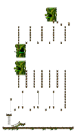 Hidden Street: The Forest of Patience <Step 3>