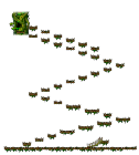 Hidden Street: The Forest of Patience <Step 4>