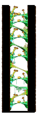 Hidden Street: Magician's Tree Dungeon