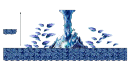 Cave of Life: Entrance to Horntail's Cave