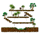 Thailand: Small Jungle