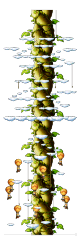 Fairytale Land  : Beanstalk Climb  