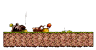 Black Road: Burning Forest 1