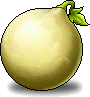 Gourd